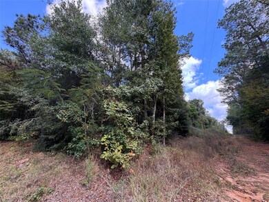 Back Corner off Connie Road