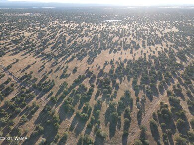 DJI_0367