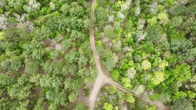 40 Trout Creek Rd, Watson, OK 74963 - photo 4