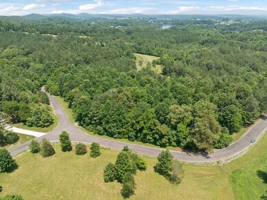 0 Wilderness Dr unit RTC2924178, Vonore, TN 37885 - photo 5