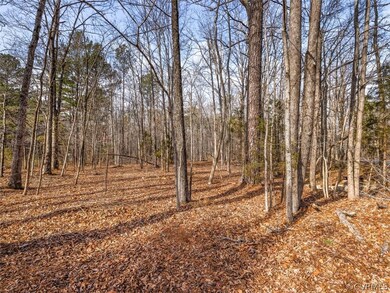 0 Watkins Landing Rd unit 2201637, Powhatan, VA 23113 - photo 5