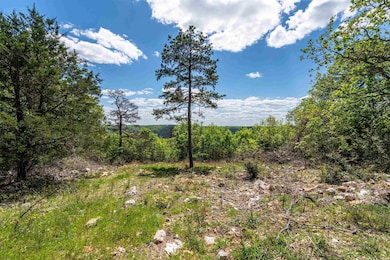 000 Mt Riante Rd, Hot Springs, AR 71913 - photo 2