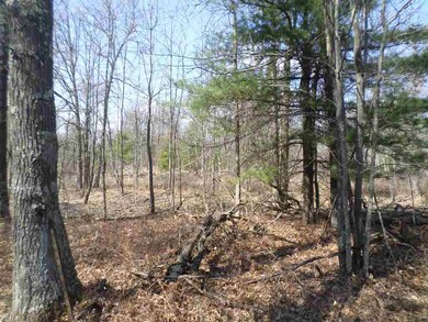 00 County Road H, Cutler, WI 54618 - photo 3