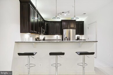 41895 Cathedral Valley Square unit A-303, Aldie, VA 20105 - photo 4