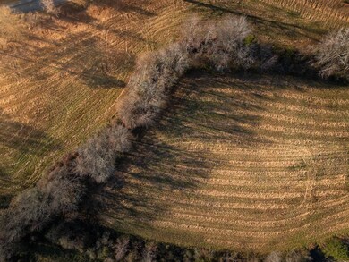 07 Concord Church Rd unit 7, Pickens, SC 29671 - photo 4