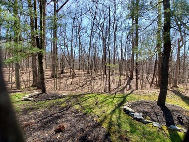 363 hidden ravines front view to woods