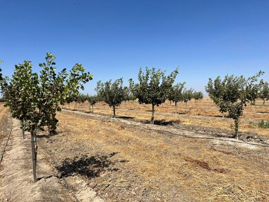4320 E Sandy Mush Rd, Merced, CA 95341 - photo 6