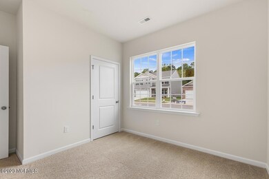 190 David Hill Dr, Buffalo Lake, NC 27330 - photo 6