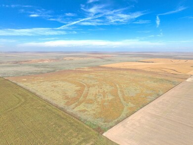 000 S Eagle St, Dighton, KS 67839 - photo 5