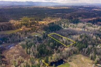 35401 4th Ave E, Roy, WA 98580 - photo 2