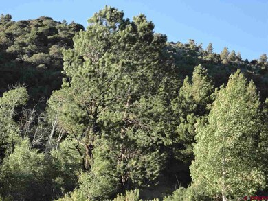 0 Sleger Rd unit 697804, Fort Garland, CO 81133 - photo 2