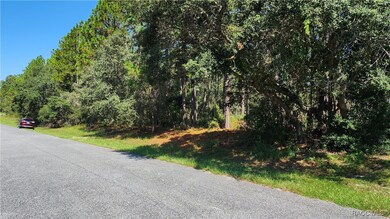 3659 W Lappula Ln, Citrus Springs, FL 34433 - photo 3