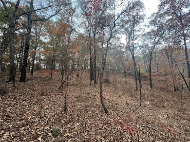 0 U S Highway 280, Jackson's Gap, AL 36861 - photo 3