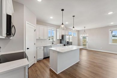 1334 Rose St, New Richmond, WI 54017 - photo 6