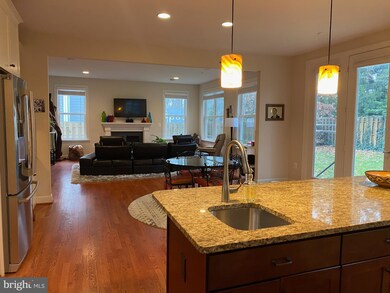 2216 Tulip Dr, Falls Church, VA 22046 - photo 4