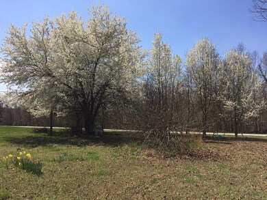 12692 Miller Church Rd, Bentonville, AR 72712 - photo 6