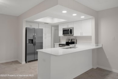 4315 Flexer Dr, Hernando Beach, FL 34607 - photo 6