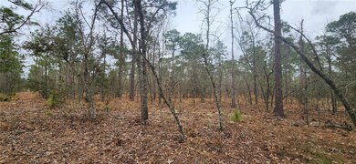 000 SW 92nd Place, Dunnellon, FL 34432 - photo 6