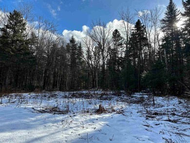 27 Edward's Village Loop, Dover, VT 05356 - photo 5