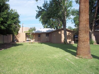 Backyard (3)