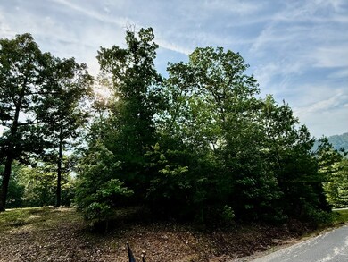 Lot 10 Shadow Wood Dr unit 10, Glencoe, AL 35905 - photo 4