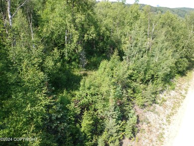 17643 E Castle Rock Ln, Palmer, AK 99645 - photo 5