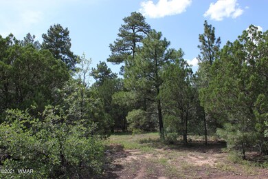 2612 Mescalero Dr, Show Low, AZ 85901 - photo 7