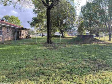 looking into the backyard from the East side