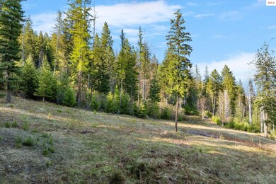 Lot A Spring View Ln, Sagle, ID 83860 - photo 5