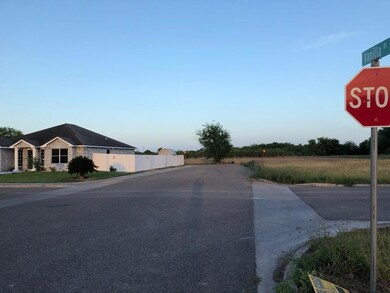 00 Vanilla Dr, Alamo, TX 78516 - photo 3