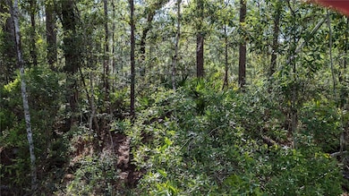 00 NE 108th Place, Waldo, FL 32694 - photo 3