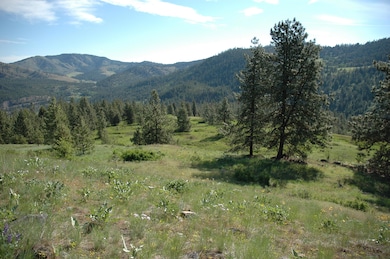 41XX Bissel Rd, Hunters, WA 99137 - photo 6