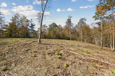 Tract 5 Sheep Ranch Rd, Robbins, TN 37852 - photo 7
