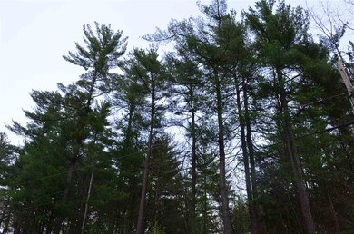 0 Pine Meadows Rd unit 4631525, Bennington, NH 03442 - photo 3