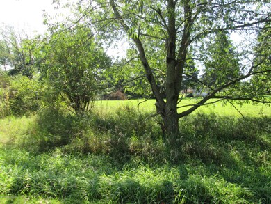 Tomahawk Vacant Lots 016