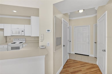 5125 Palm Springs Blvd unit 4107, Tampa, FL 33647 - photo 6