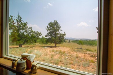 4134 Buffalo Ridge Rd, Como, CO 80432 - photo 6