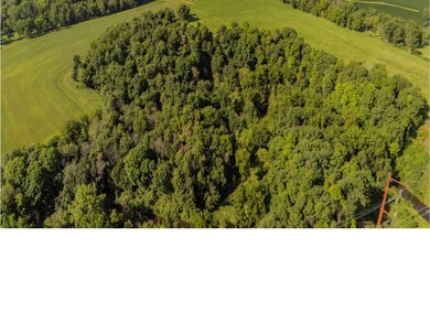 Part of the 60 acres