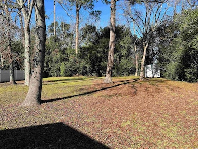 404 E Andrews St, Hemingway, SC 29554 - photo 3