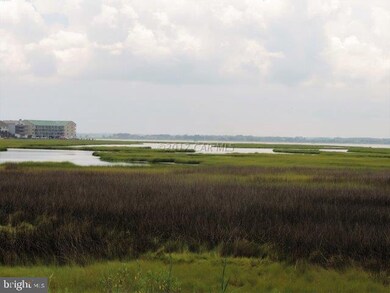 119 Old Landing Rd unit 203 C, Ocean City, MD 21842 - photo 2