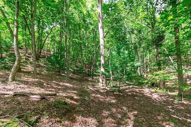 LOT 22 Meadow Brook Trail, Morganton, GA 30560 - photo 6