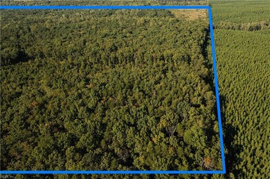 0 Chris Run unit 10611263, Louisa, VA 23093 - photo 5