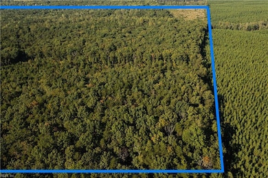 25 ac Chris Run, Louisa, VA 23093 - photo 5