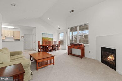 5001 Willow Branch Way unit 302, Owings Mills, MD 21117 - photo 3