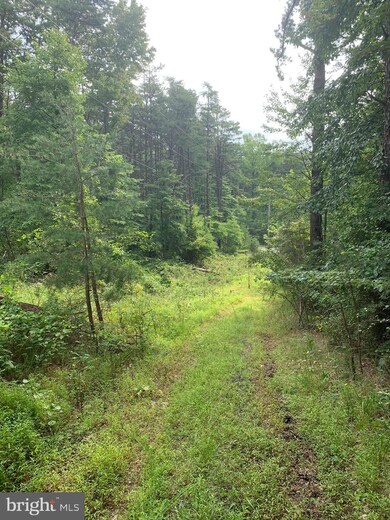 LOT 81 Cressida Dr, Valley, WV 25427 - photo 7