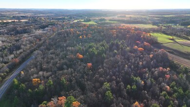 Tbd U S 12, Wilson, WI 54027 - photo 5