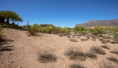 From the back toward the front