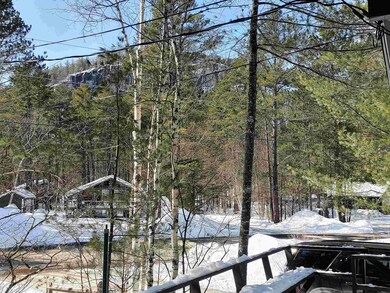 11 Sanctuary Rd, North Conway, NH 03860 - photo 5