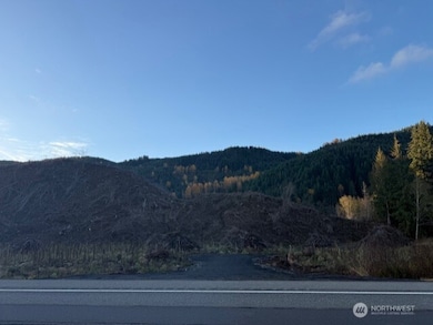 0 U S 12, Glenoma, WA 98336 - photo 3