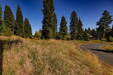 664 Whitewater unit 39, Donnelly, ID 83615 - photo 4